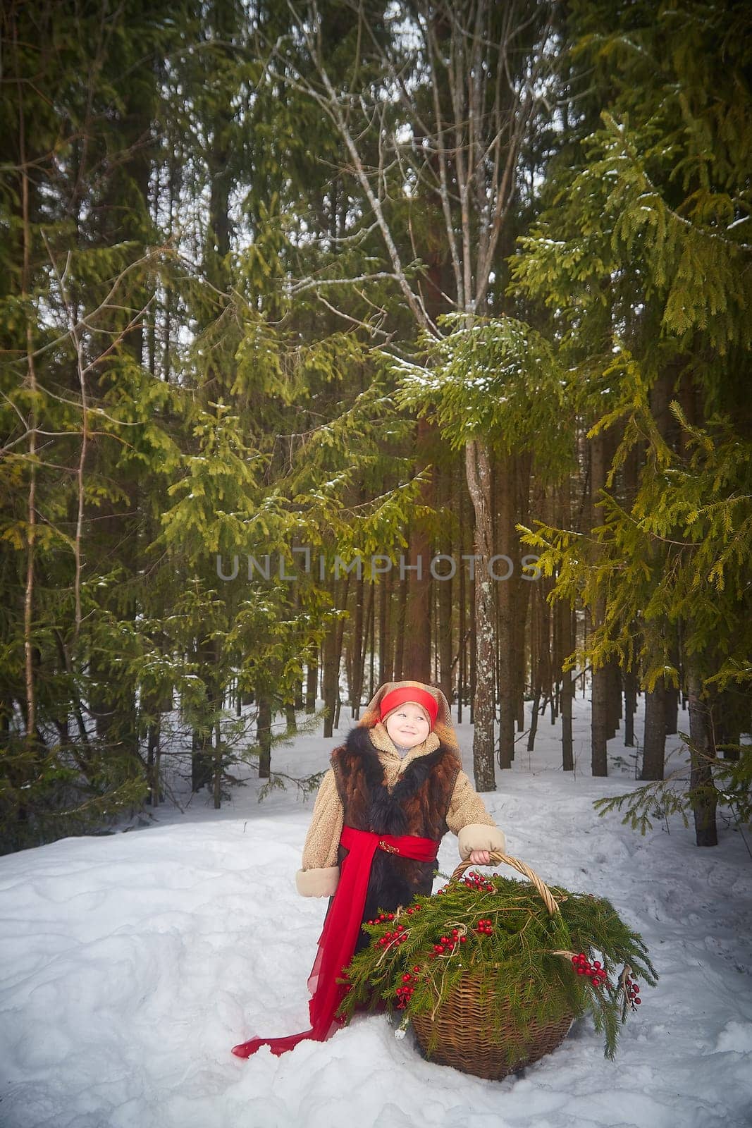 Little girl in thick coat and a red sash with basket of fir branches and red berries in cold winter day in forest. Medieval peasant girl with firewood. Photoshoot in stile of Christmas fairy tale by keleny