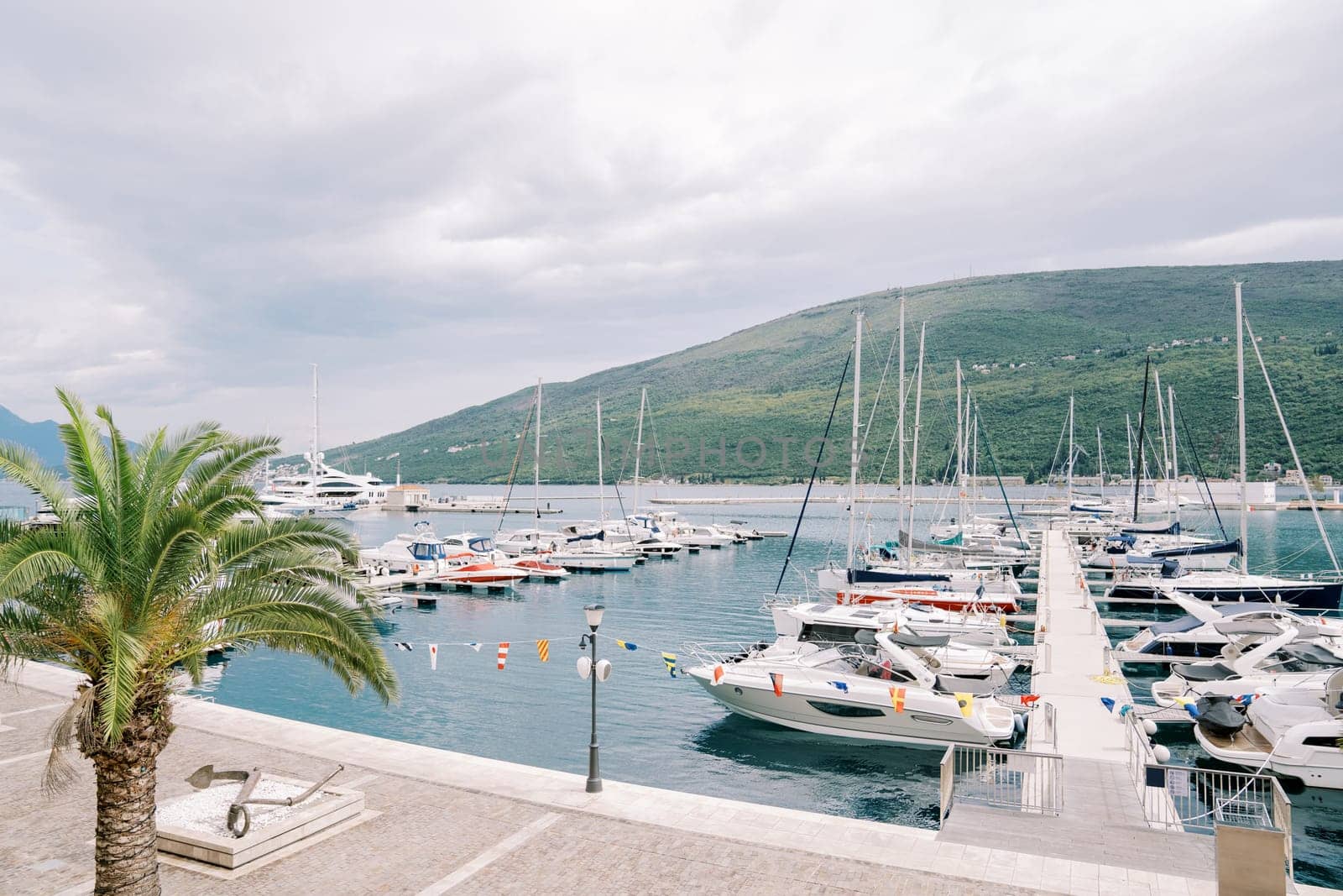 Yachts stand in rows along the piers of a luxurious marina against the backdrop of green mountains. High quality photo