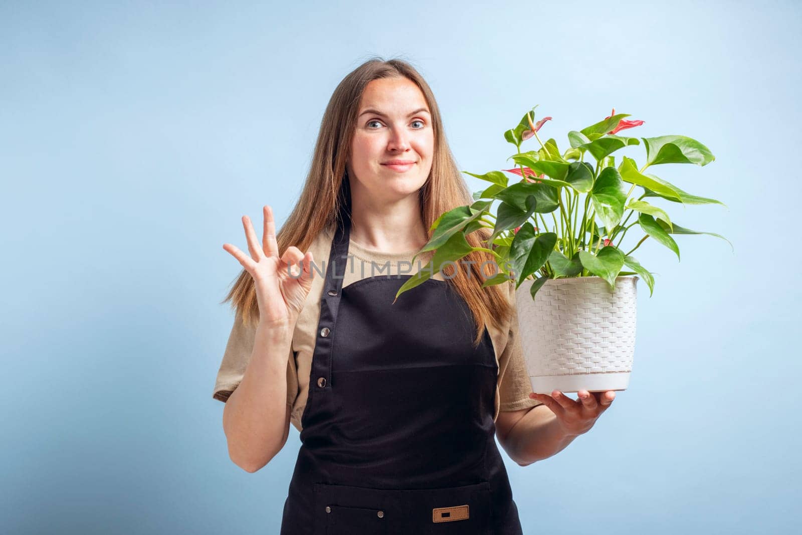 Gardener woman holding flower in white pot showing an ok sign with fingers by andreyz