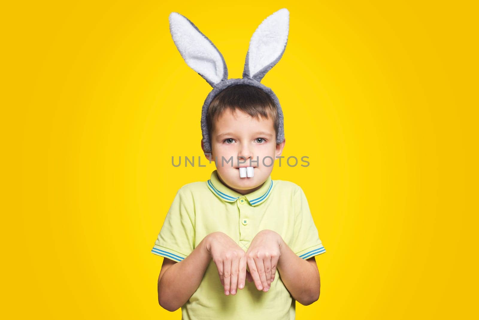 Little boy is acting as a little easter bunny on yellow background. A child is wearing bunny ears and teeth on Easter day.