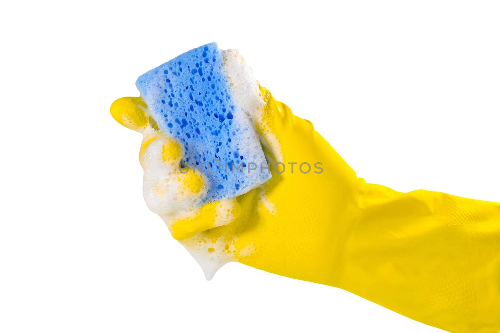 Hand in glove holds soapy sponge for washing dishes, isolated on white background. Closeup.