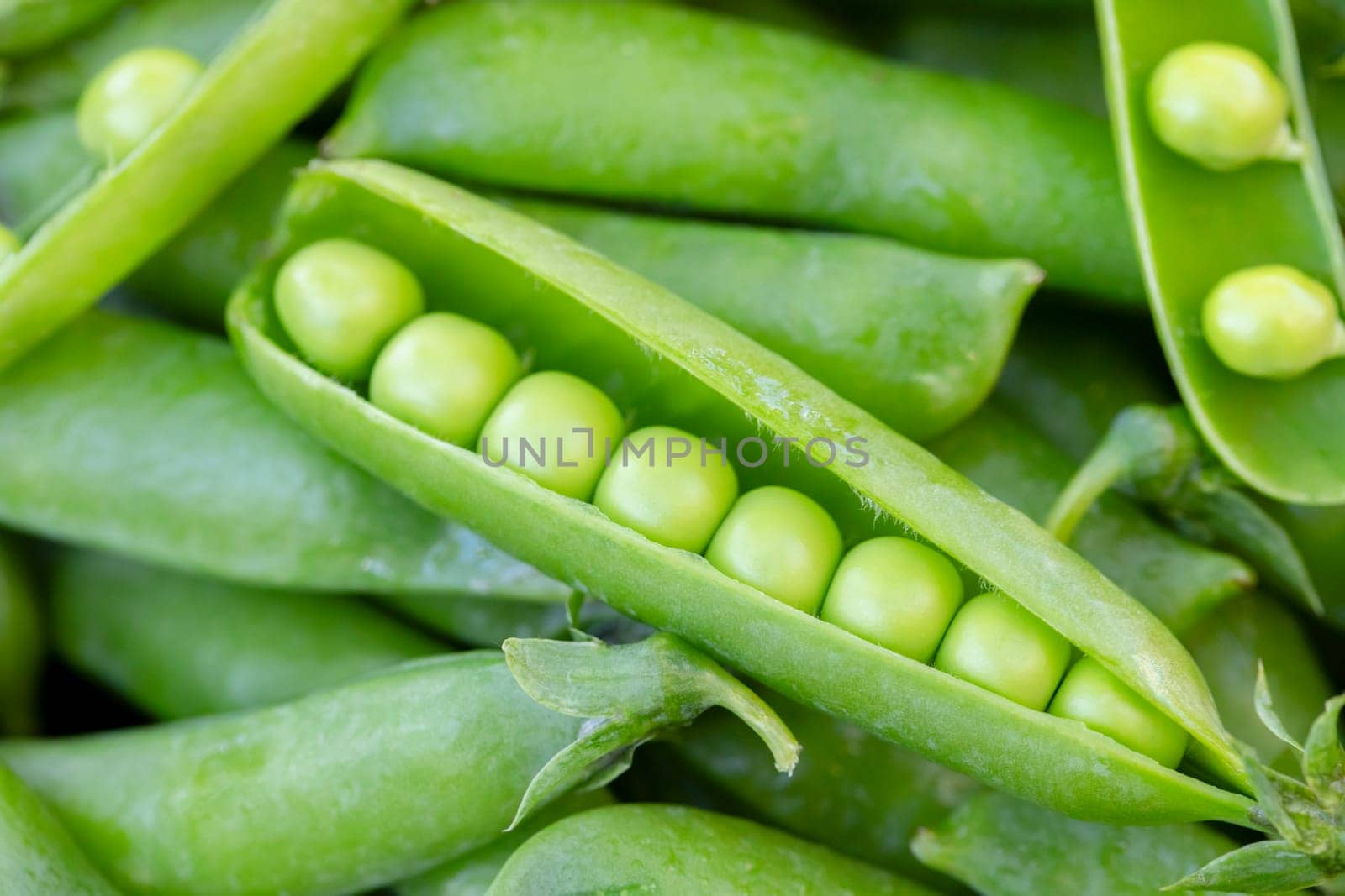 .Green peas. Close up of green fresh peas and pea pods. Healthy vegetarian food, rich in natural protein.