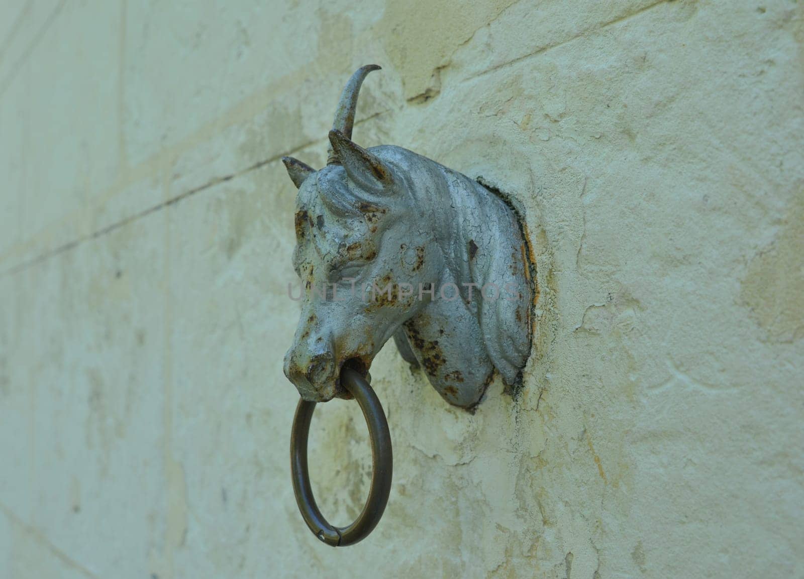 The old rusty head of a horse with a ring on the wall of a stable