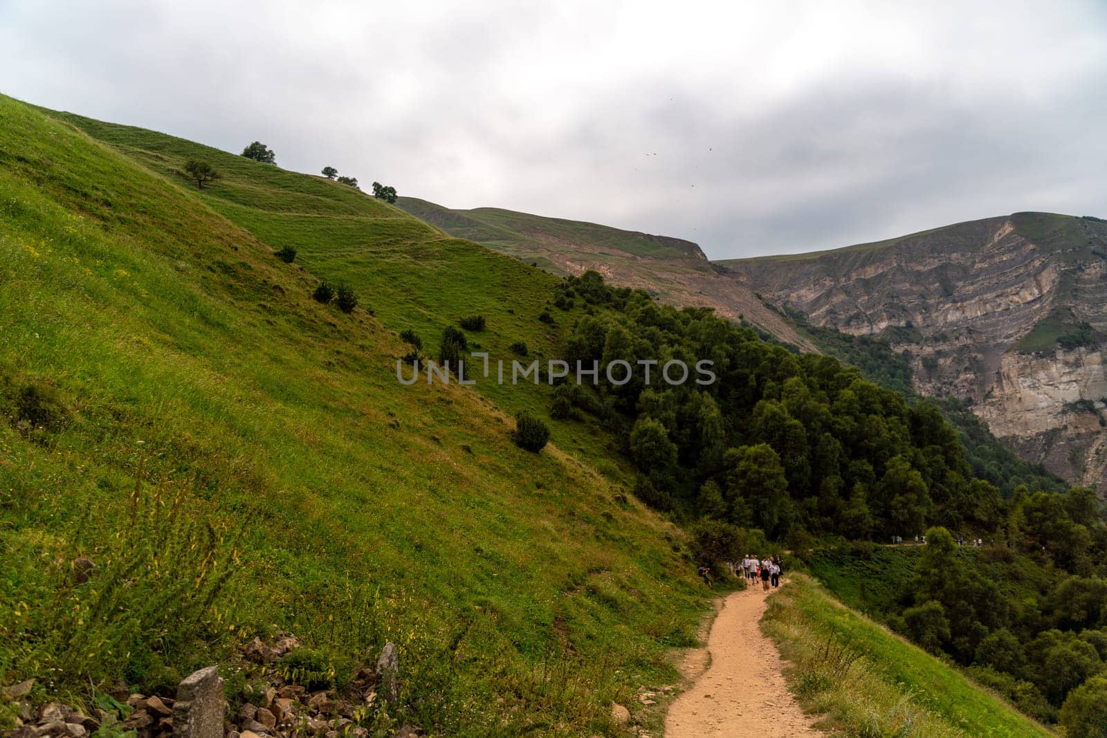 Caucasian mountain. Dagestan. Trees, rocks, mountains, view of the green mountains. Beautiful summer landscape