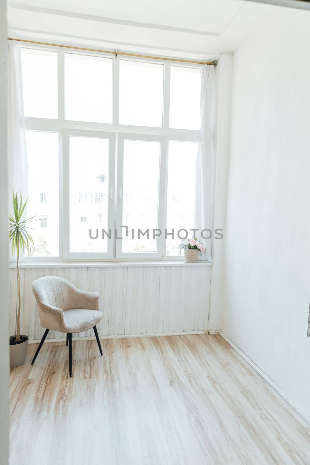 Bright room with a large window and an armchair with a room flower