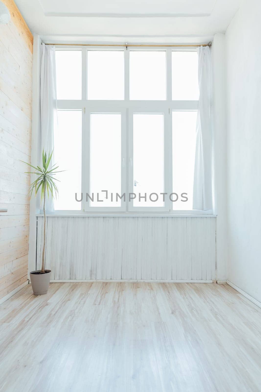 Bright room with a large window and a room flower