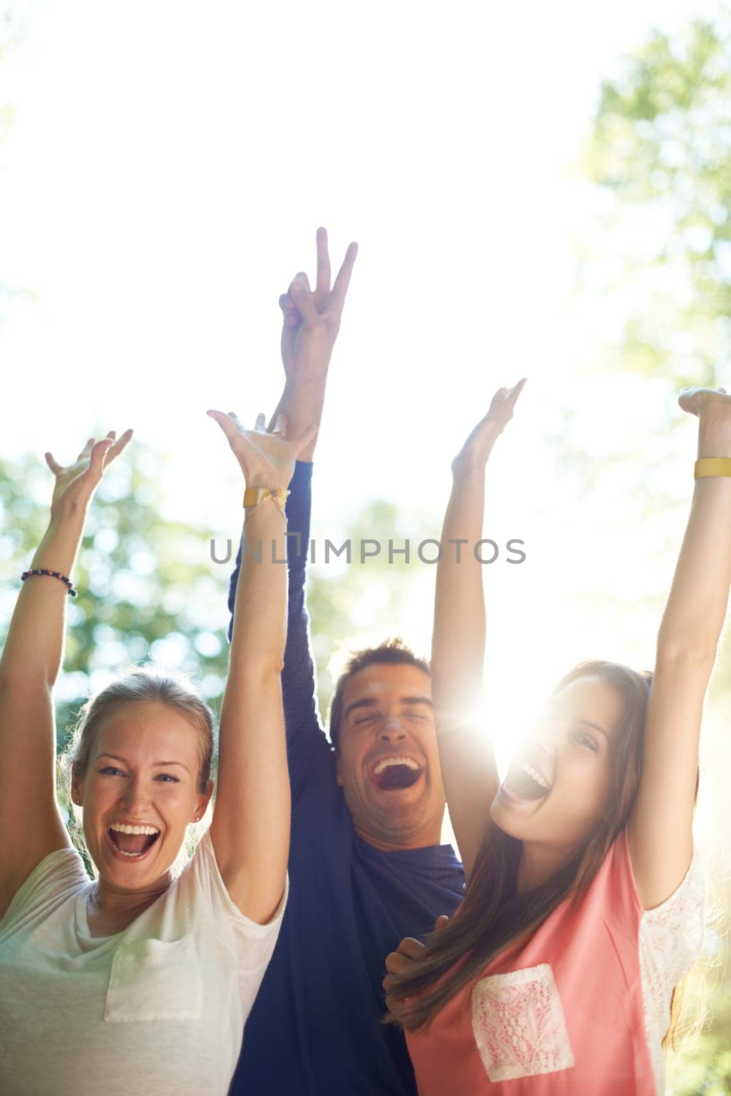 Portrait, outdoor and friends with party, excited and social event with music festival, happiness or summer. Face, people or group with lens flare, sunshine or weekend break with celebration or smile.