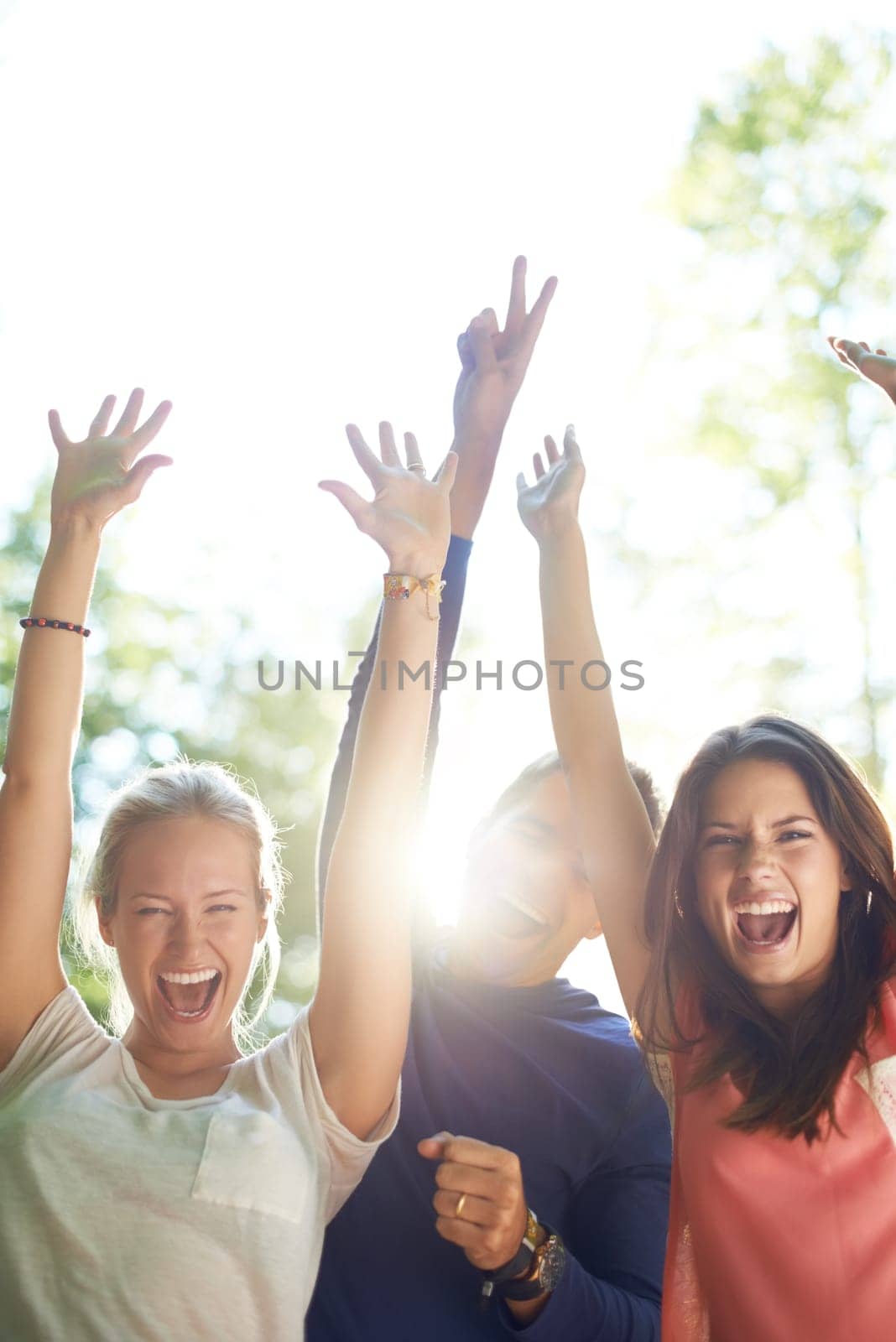 Portrait, outdoor and friends with party, happiness and social event with music festival, celebration and summer. Face, people or group with lens flare, sunshine or weekend break with joy or cheerful.
