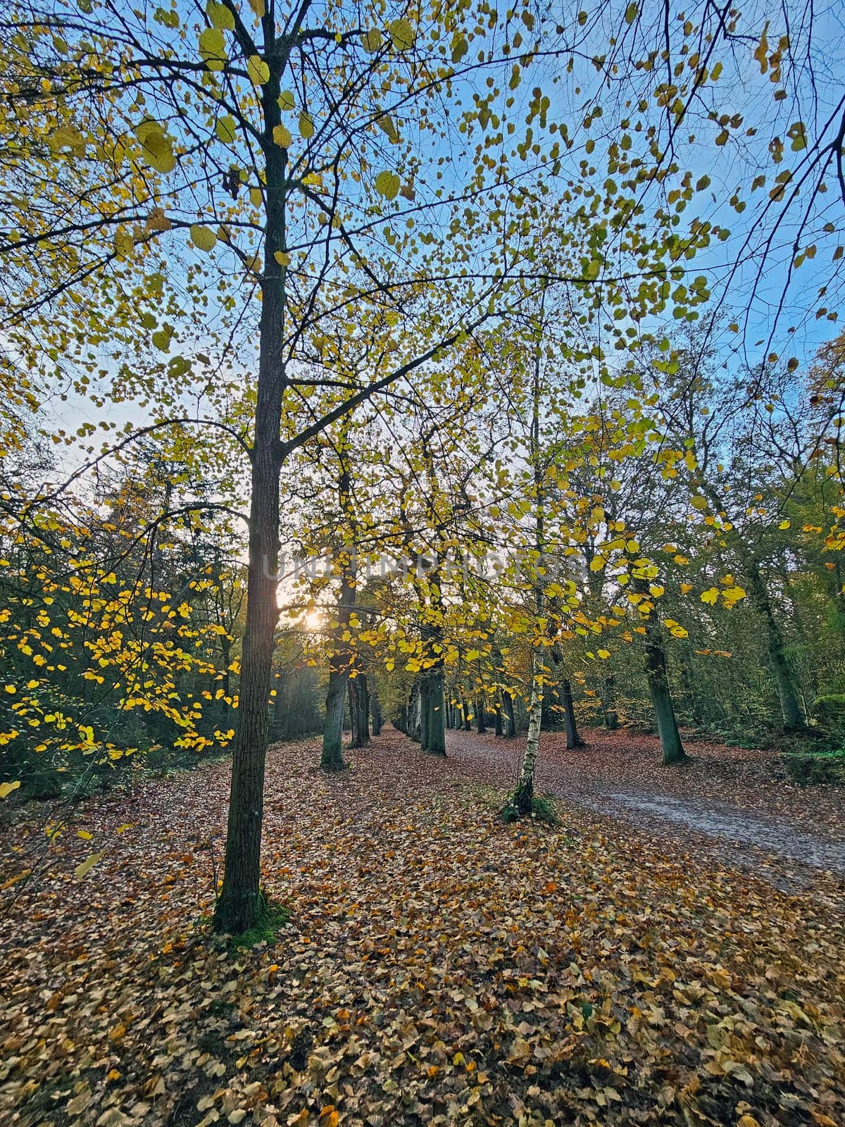 Fall in the Netherlands Europe