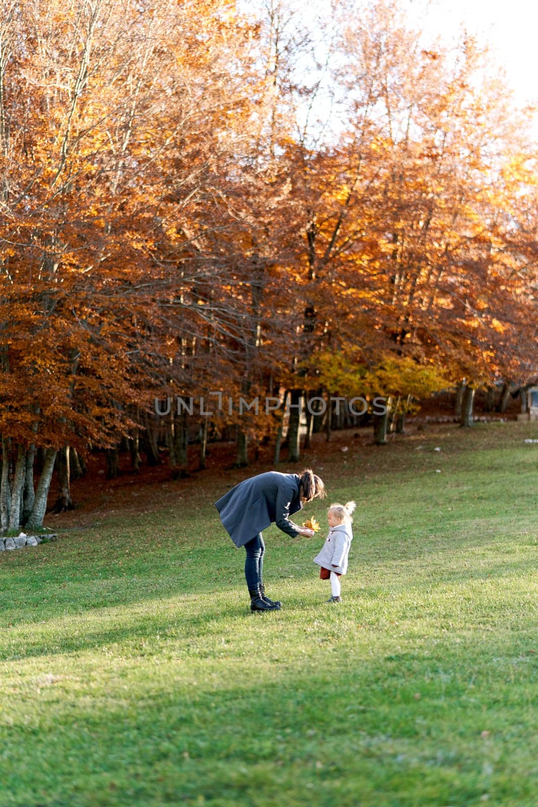 Mom shows a little girl a bouquet of yellow leaves leaning towards her standing on a green lawn by Nadtochiy