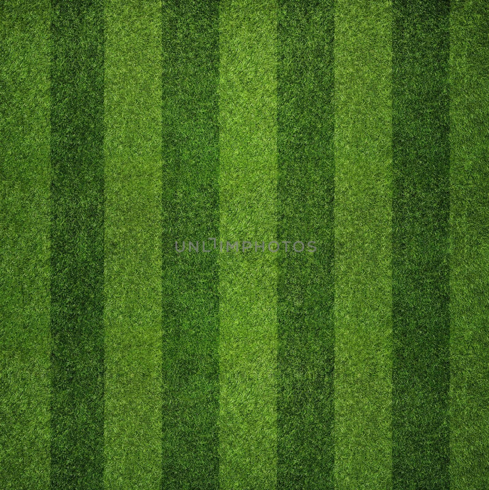 Short-cropped green grass with light and dark stripes