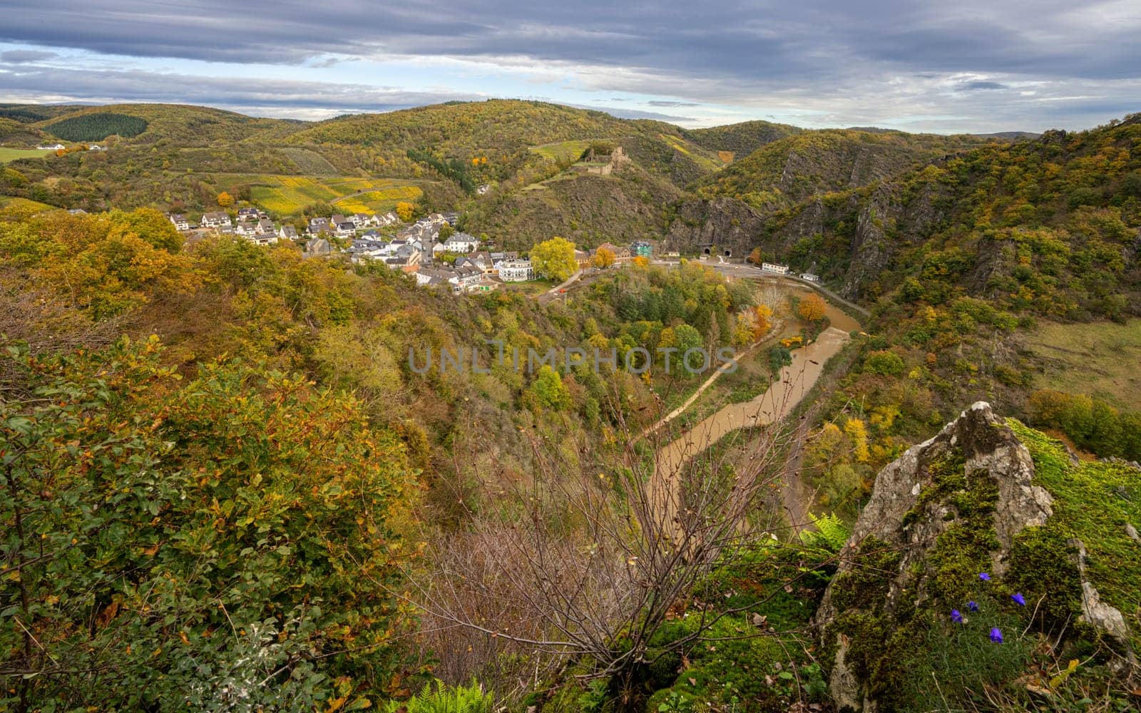 Panoramic image of vinyard during autumn, Ahr, Rhineland-Palatinate, Germany