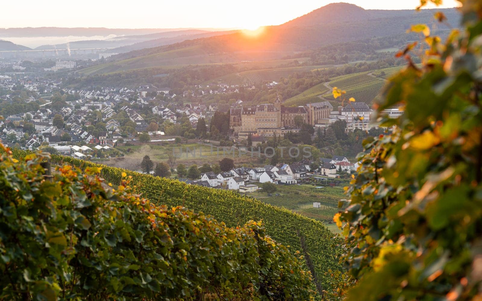 Ahr, Rhineland-Palatinate, Germany by alfotokunst