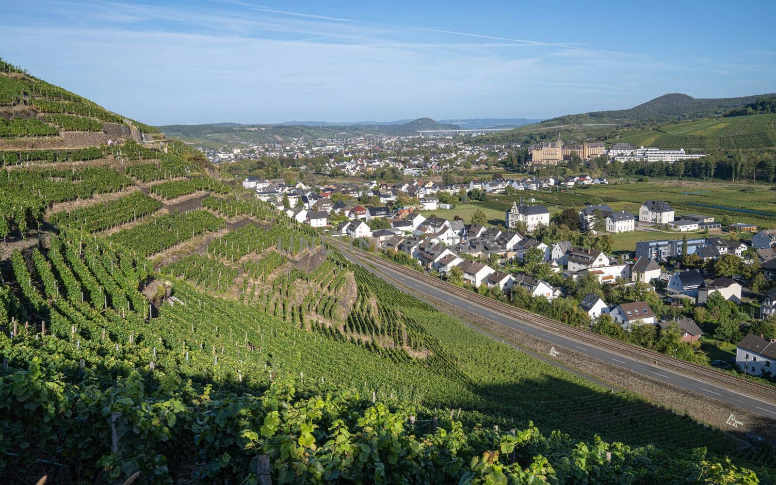 Panoramic image of vinyard during autumn, Ahr, Rhineland-Palatinate, Germany