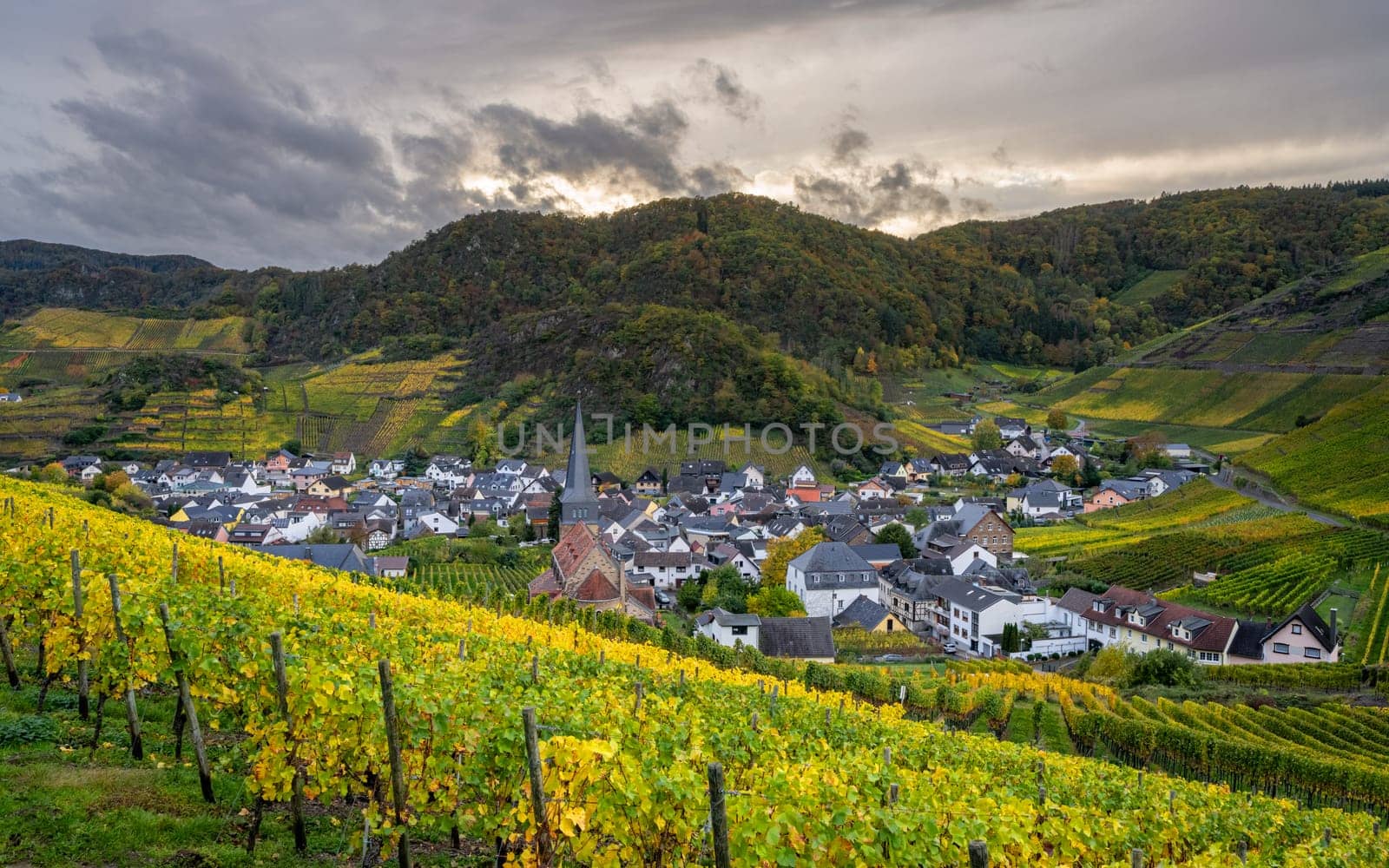 Panoramic image of vinyard close to Mayschoss during autumn, Ahr, Rhineland-Palatinate, Germany