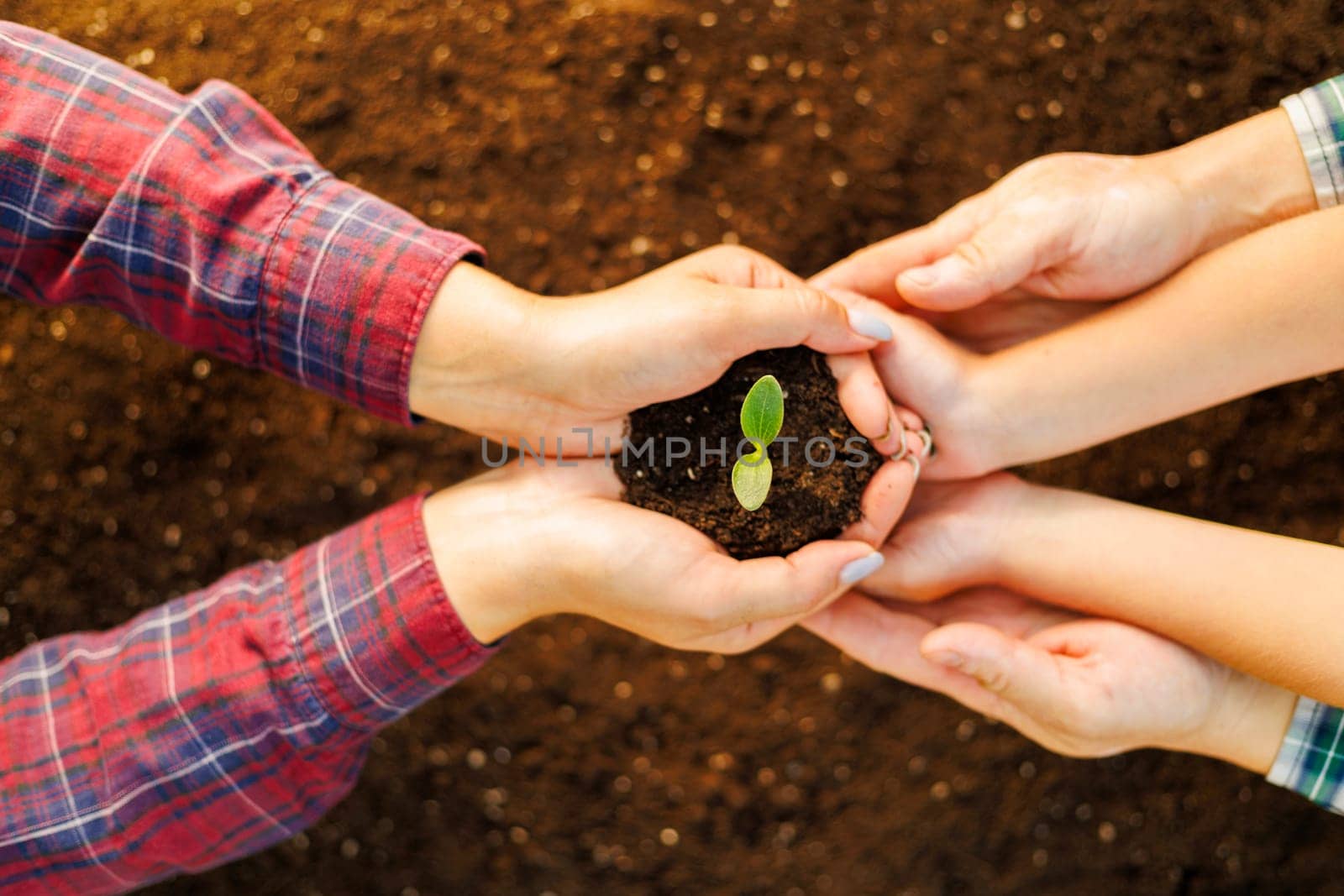 The family mother, father and child hold a young sprout in their hands. Top view. Earth Day holiday concept