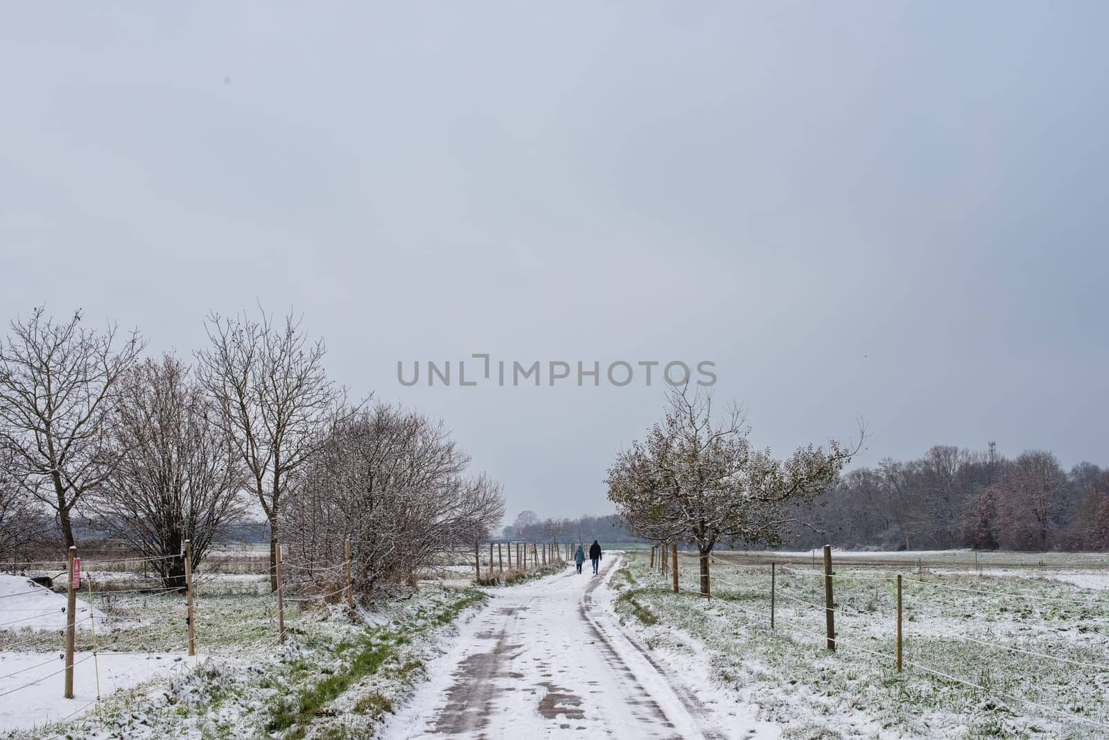 Winter Symphony: Snow-Covered Fields, Rural Roads, and Christmas Delight