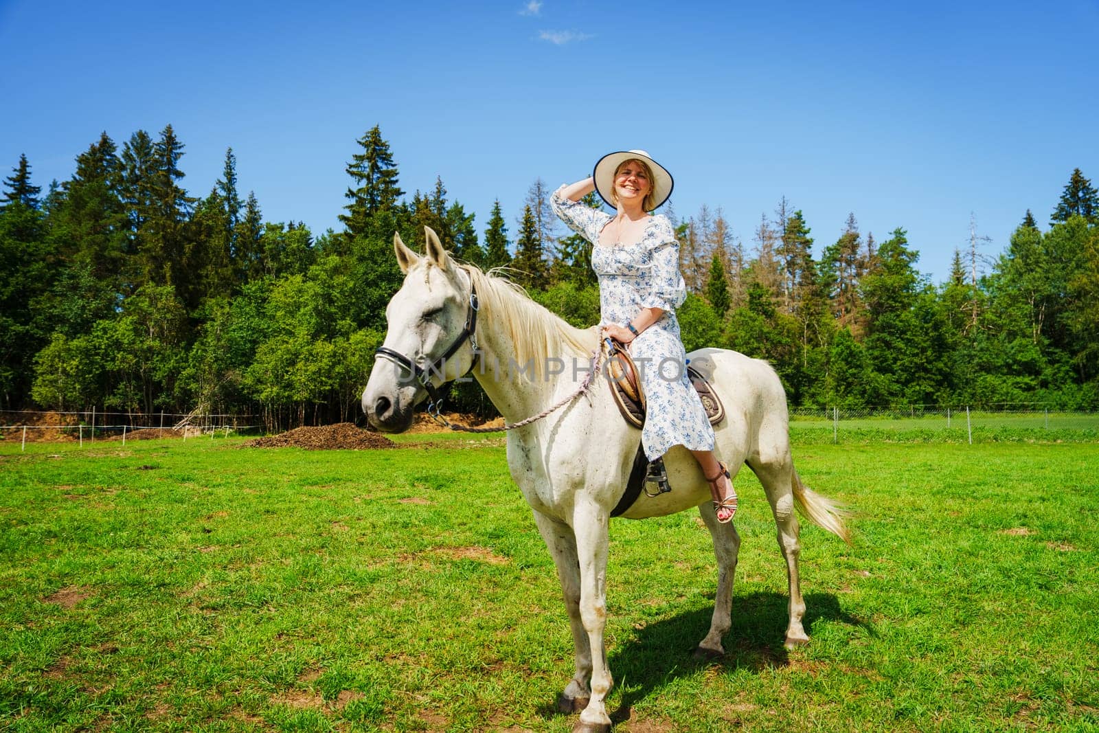 A beautiful young woman riding a majestic horse through a lush green field on a sunny summer day, with a bright blue sky and fluffy white clouds in the background.