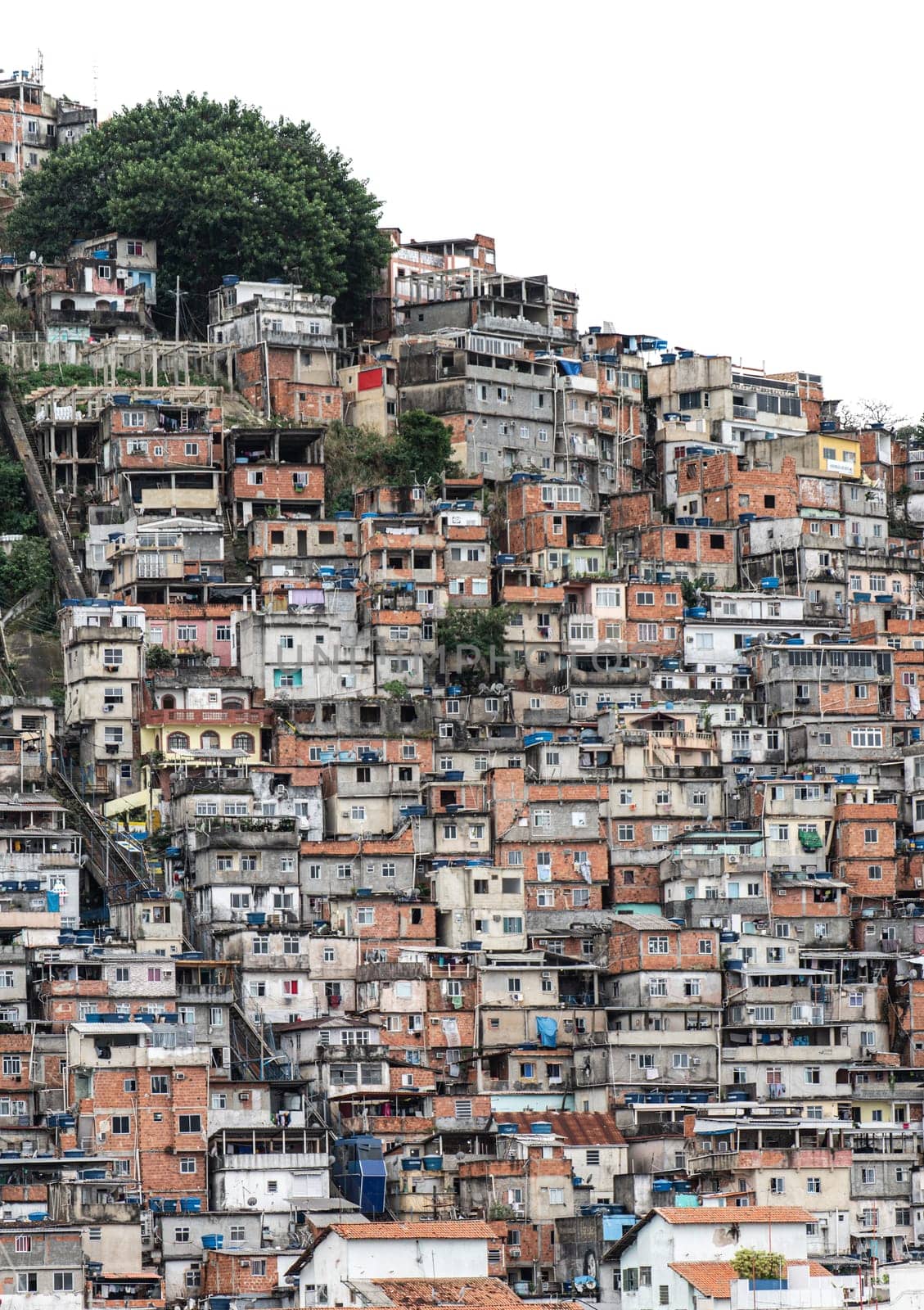 Overcrowded Hillside Favela Under Economic Strain and Contrast by FerradalFCG