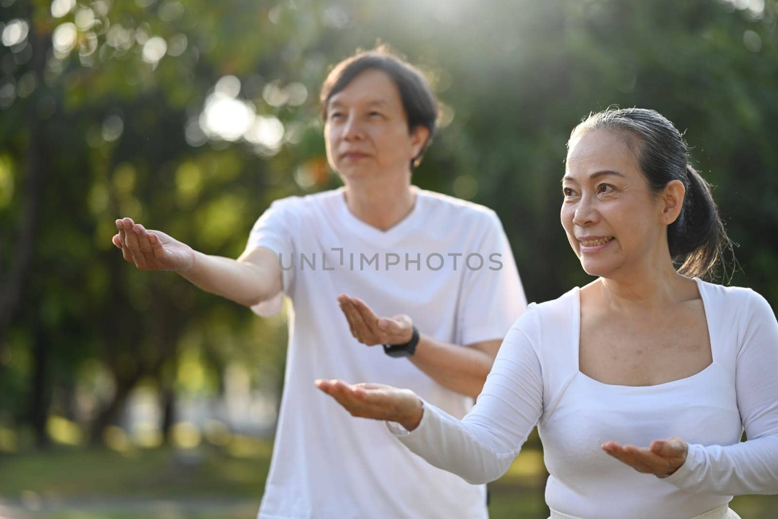 Calm senior couple working out with Tai Chi in the morning at the park. Healthy lifestyle concept by prathanchorruangsak