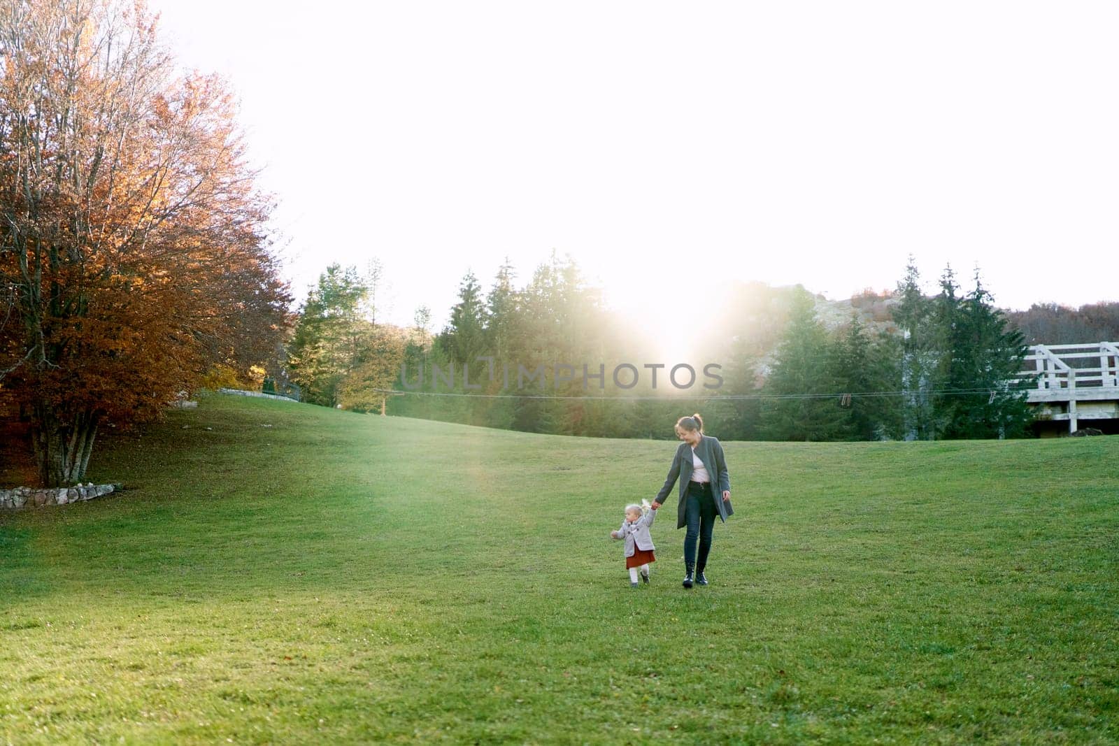Mom looks at a little girl leading her by the hand on a sunny lawn. High quality photo