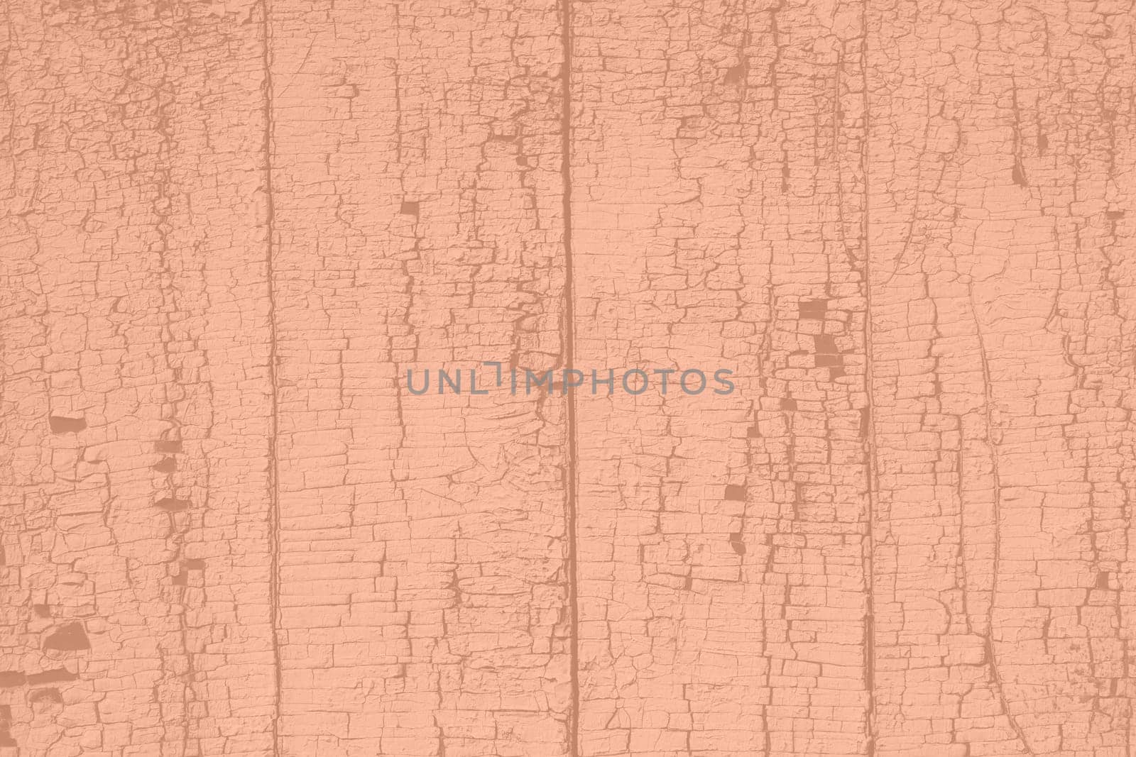 Peach Fuzz color wood texture monochrome background. Wood texture with natural pattern. Color of the year 2024. High quality photo