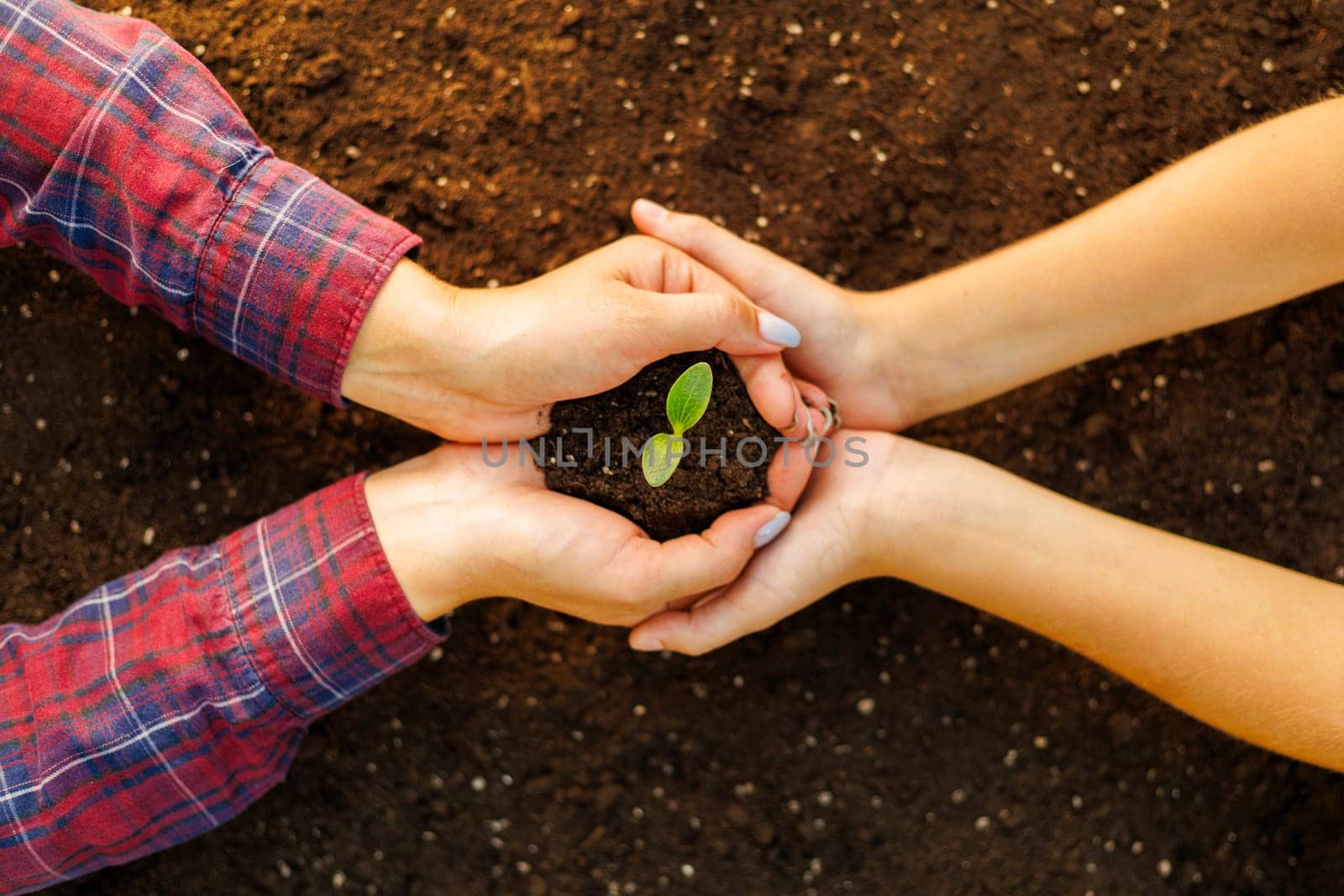The family mother and child hold a young sprout in their hands. Top view. Earth Day holiday concept