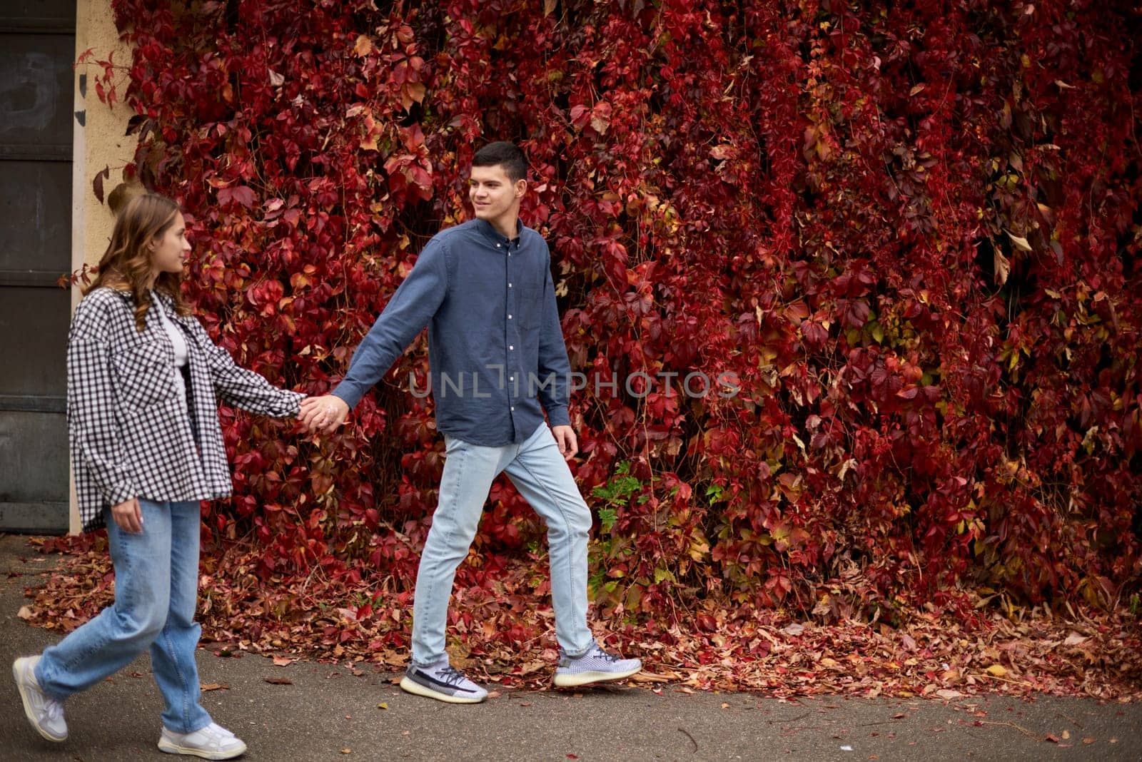 Young Cute Female Hugs Boyfriend. In Autumn Outdoor. Lovers Walking in Park. Attractive Funny Couple. Lovestory in Forest. Man and Woman. Cute Lovers in the Park. Family Concept. Happy Couple.