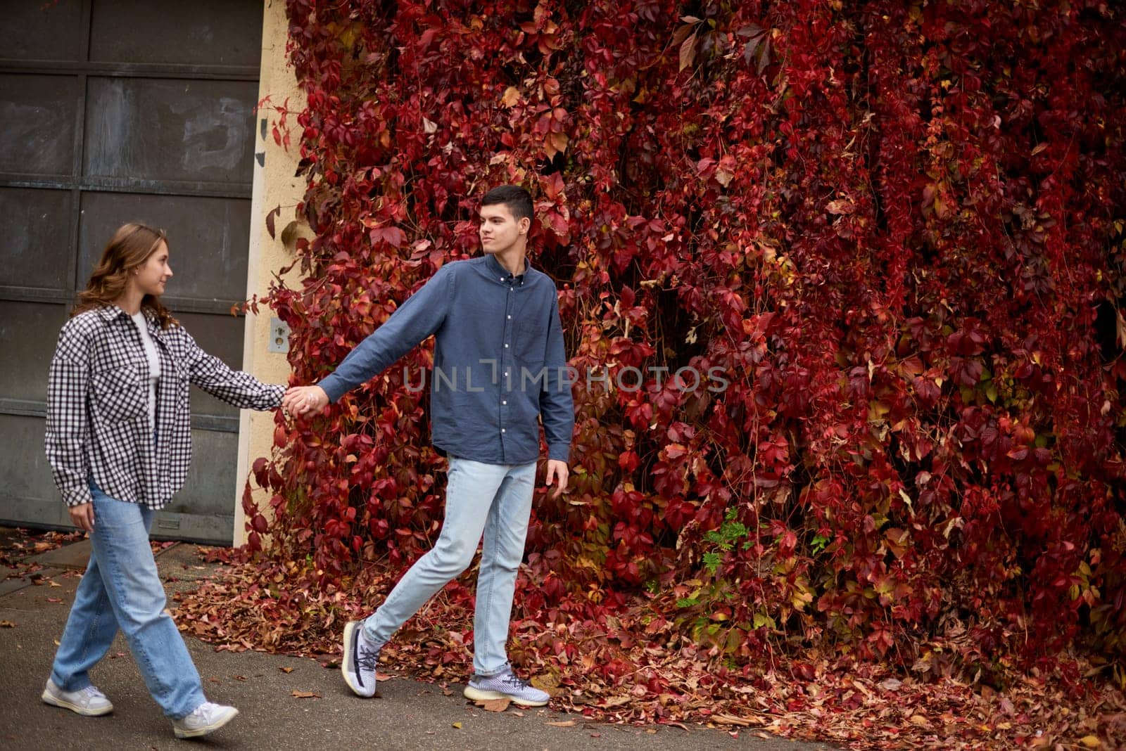 Warm Embrace of Teen Love in the Autumn Park. Capturing Teen Moments: Love Blossoms in Autumn's Embrace. Teenagers in Love: Embracing the Autumn Vibe by Andrii_Ko