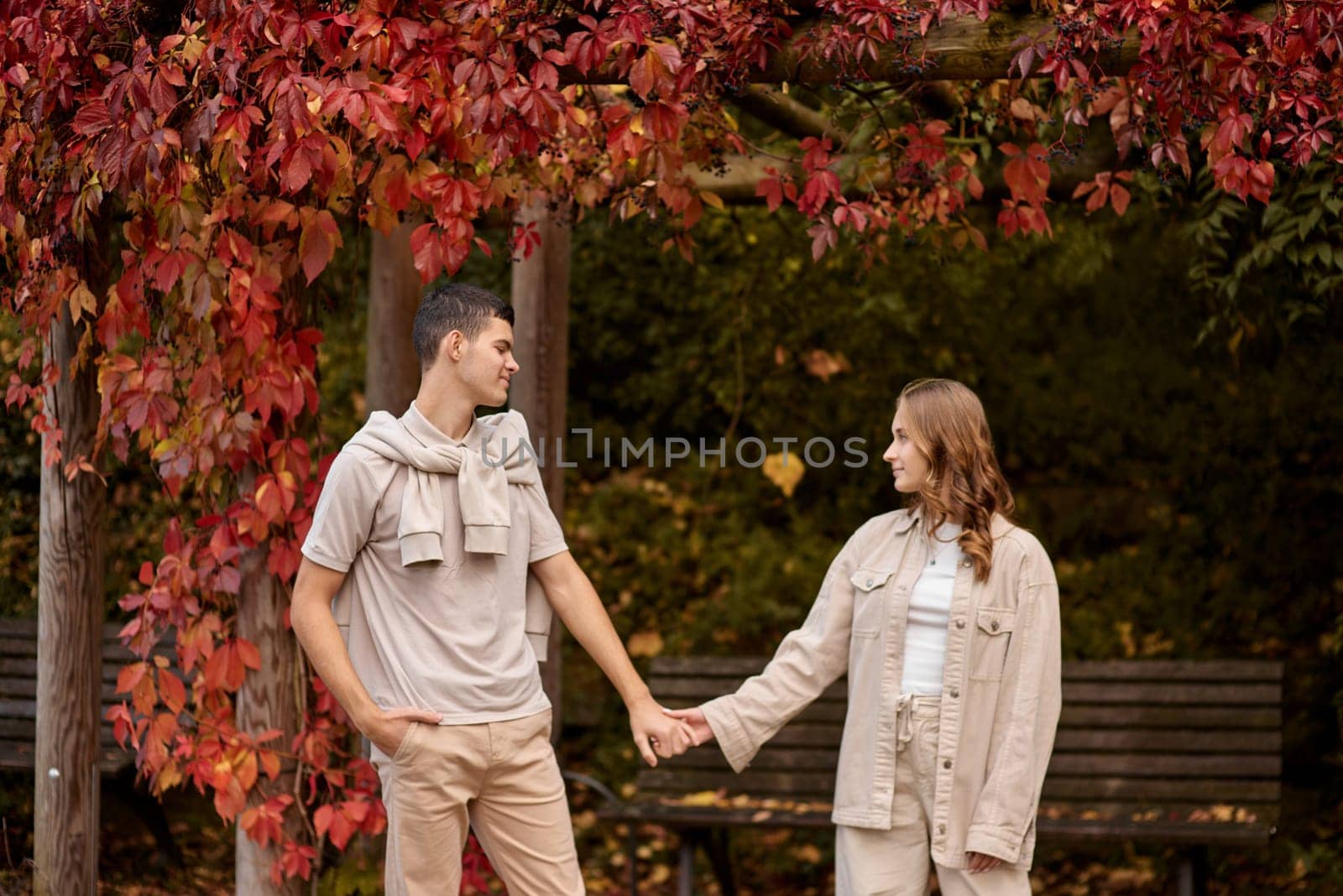 Young couple in love walking in the autumn park holding hands looking in the sunset. Loving couple holding hands while walking at sunset. The hands of the male and female lovers who hold hands walk forward high with blurred background by Andrii_Ko