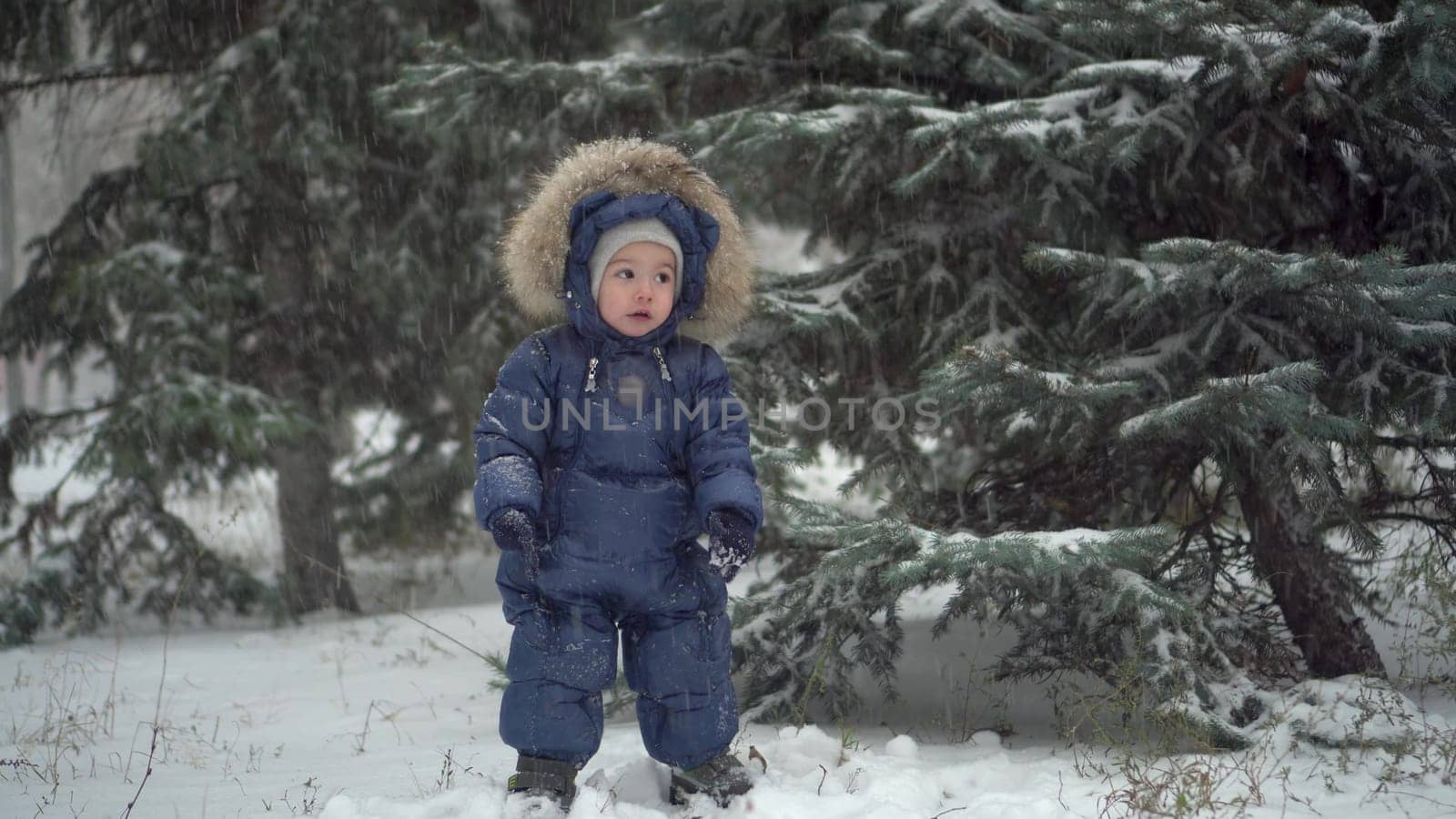 A small child stands near the fir trees in the snow. A boy in a down overalls plays in the snow in the park. by Puzankov