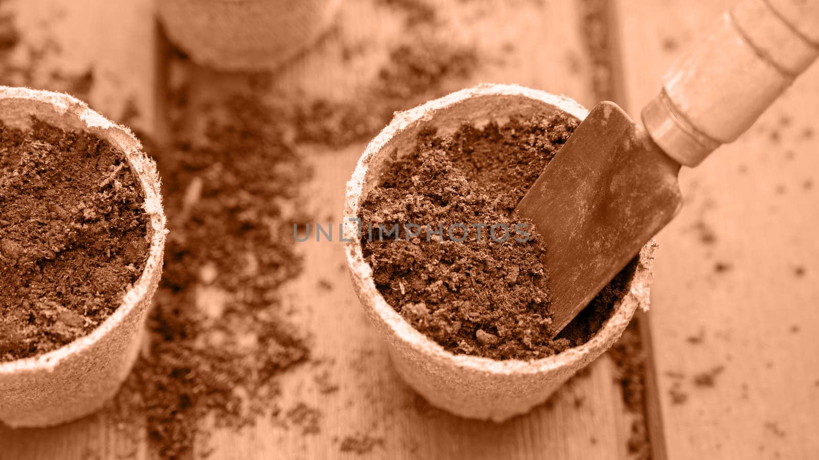 Planting a seed in eco friendly biodegradable peat pots. Image toned in Peach Fuzz color of the year 2024. Spring natural gardening, eco, plant care, organic product.