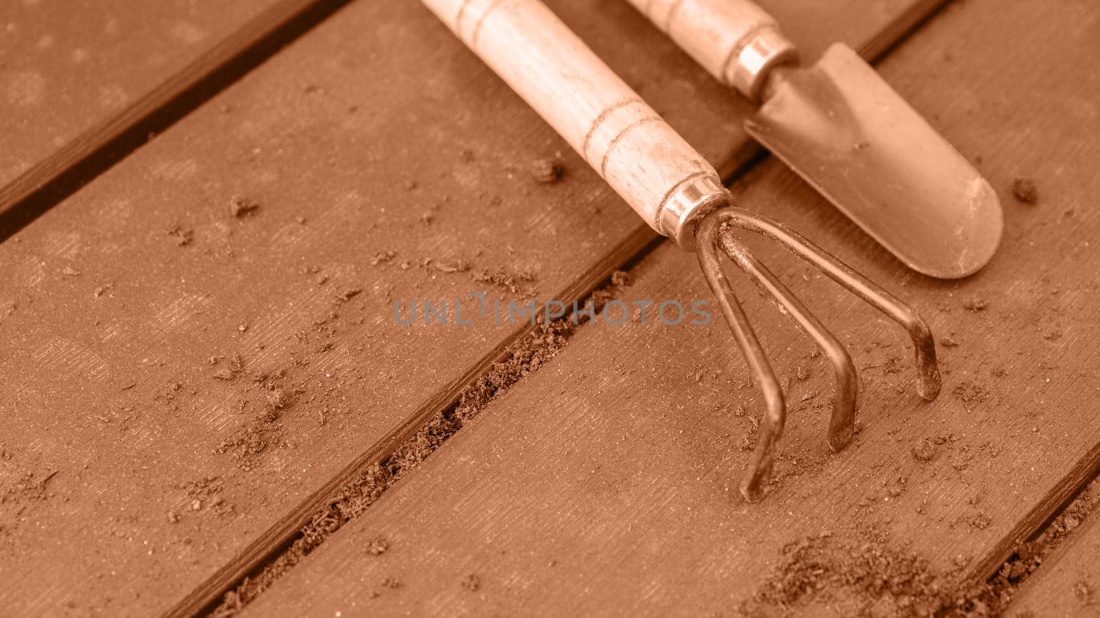 Old used garden tools shovel and rake. Image toned in Peach Fuzz color of the year 2024. Spring natural gardening, eco, plant care, organic product.