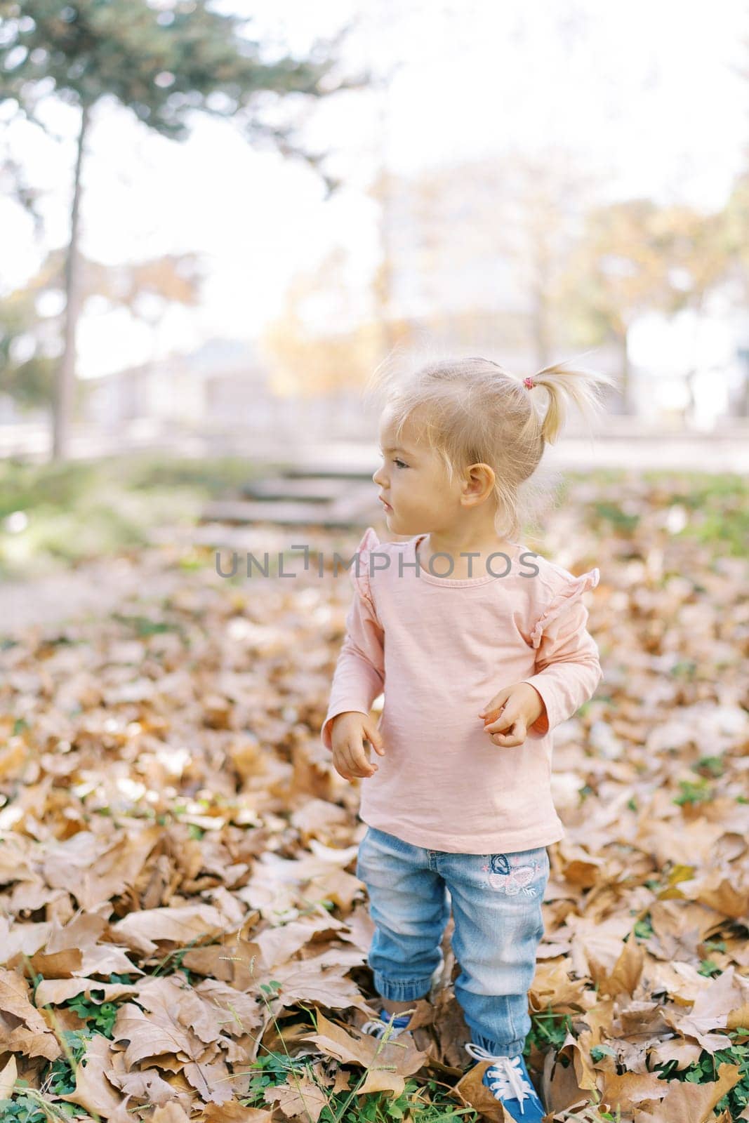 Little girl stands among the fallen leaves in the park and looks away. High quality photo