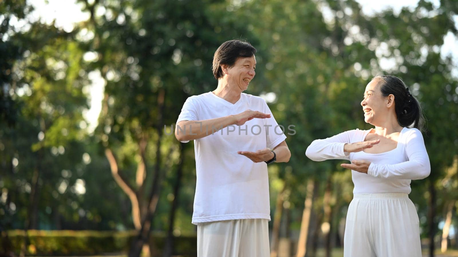 Healthy senior couple practicing Tai Chi Chuan in the morning at the park. Active retirement lifestyle concept by prathanchorruangsak