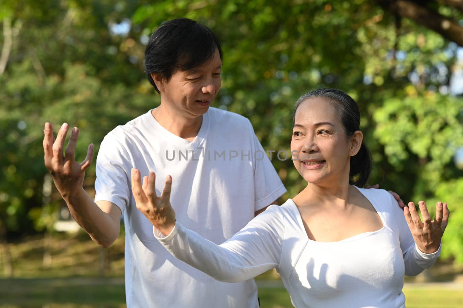 Happy senior couple practicing Tai Chi Chuan in the summer park. Senior health care and wellbeing concept.