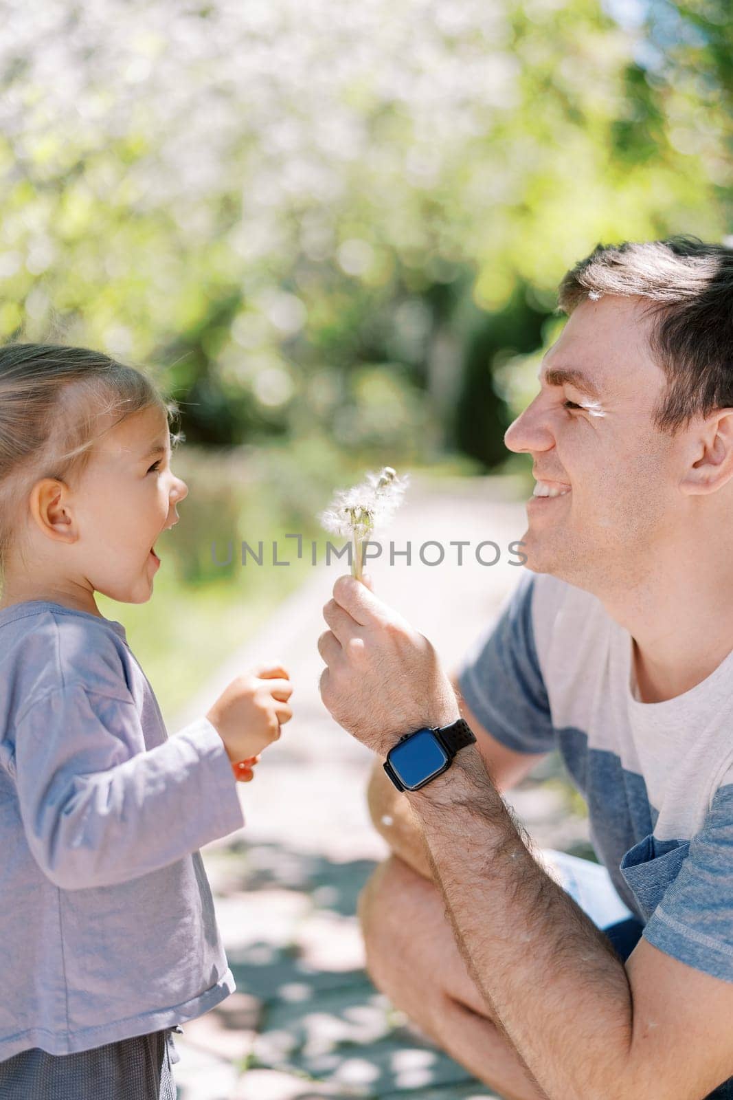 Laughing little girl stands near her dad surrounded by flying fluff with dandelions in his hand by Nadtochiy