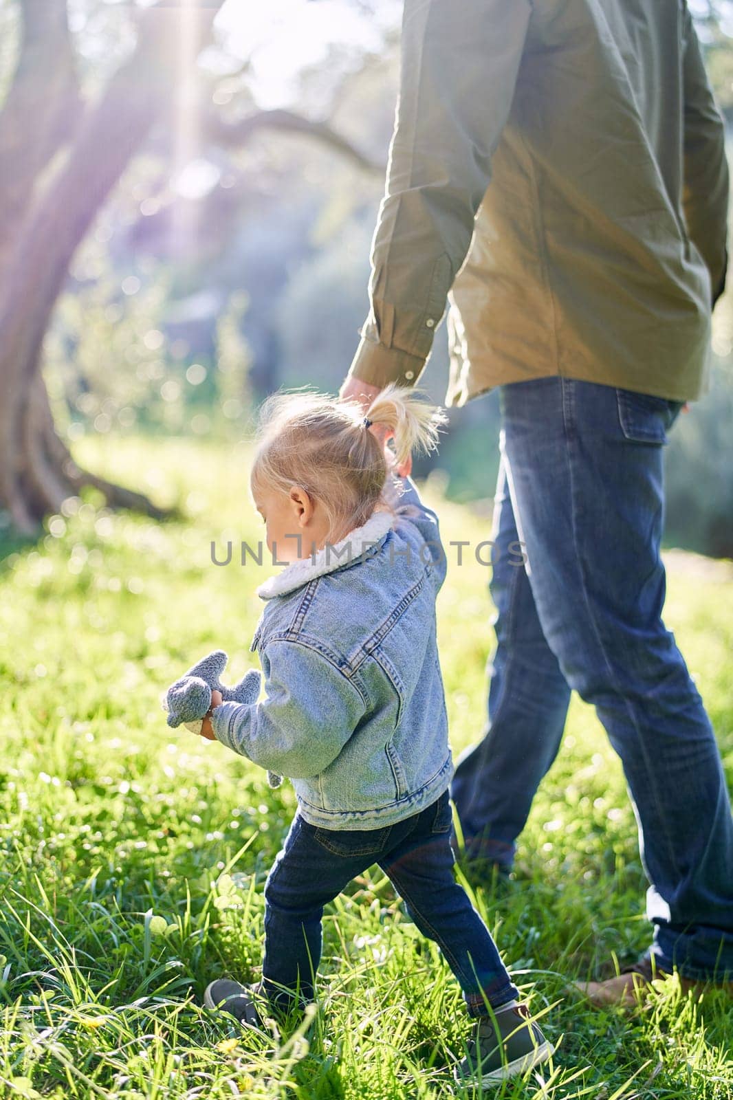 Little girl with a toy walks through the sunny forest, holding her dad hand. Side view. Cropped. High quality photo