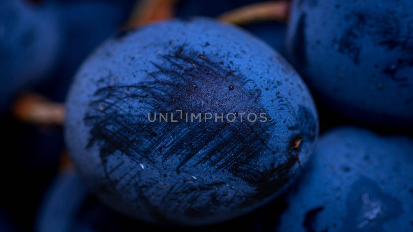 Close up of ripe grapes, background of grapes. by vladispas