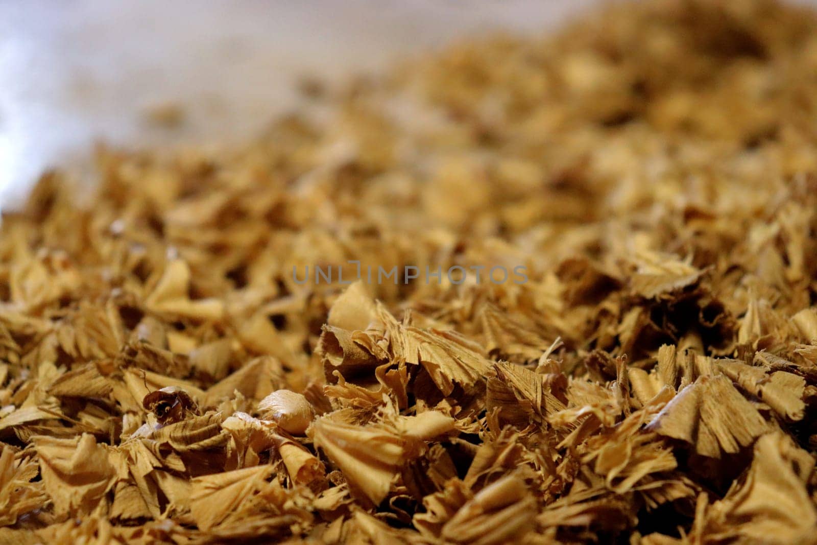 Wood shavings. Background for the image. by AleksBay