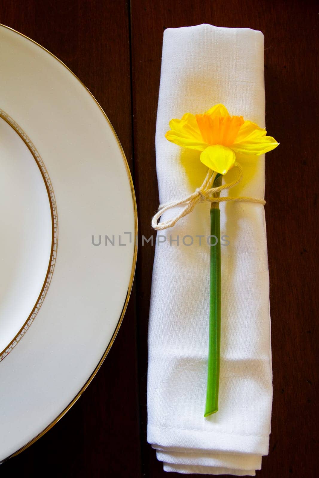 Elegant Springtime Table Setting with Daffodil Accent and Golden Rimmed Plate by njproductions