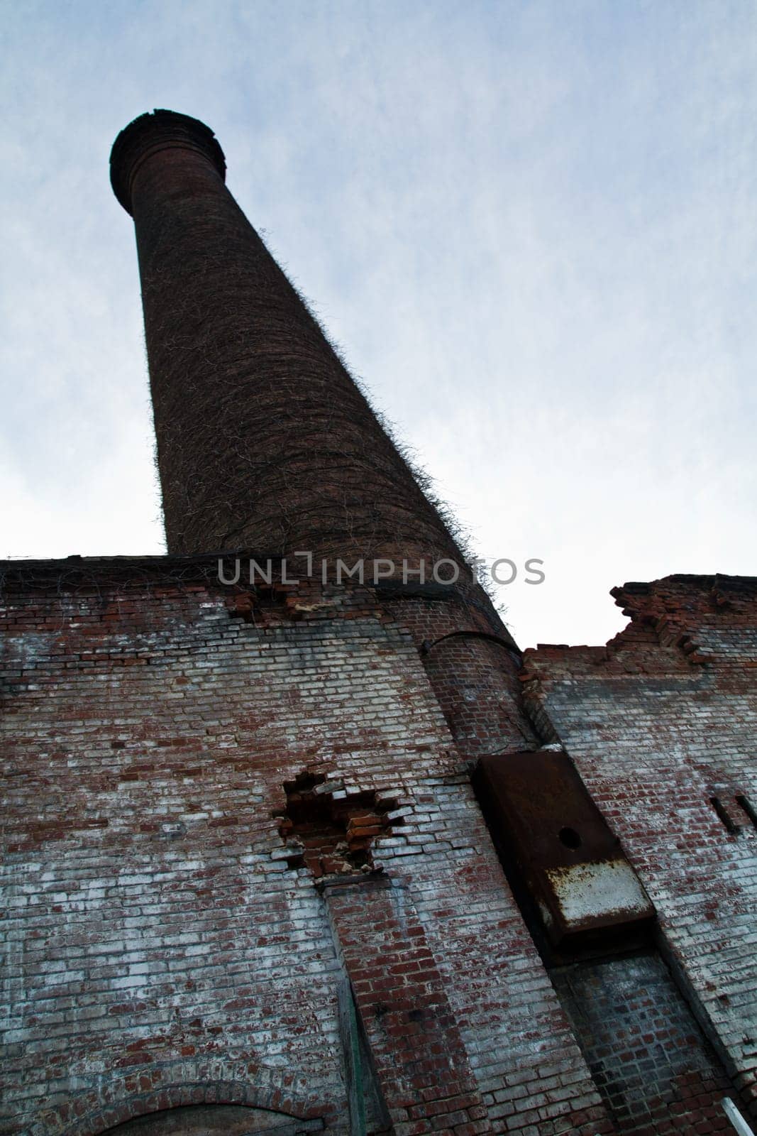 Abandoned Industrial Brick Chimney Overgrown with Vines in Louisville by njproductions