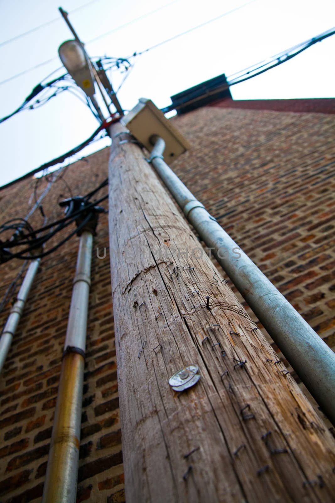 Urban Infrastructure: Aged wooden utility pole with weathered surface and attachments, showcasing the interconnectedness of urban utility systems. Captured in Chicago, Illinois.