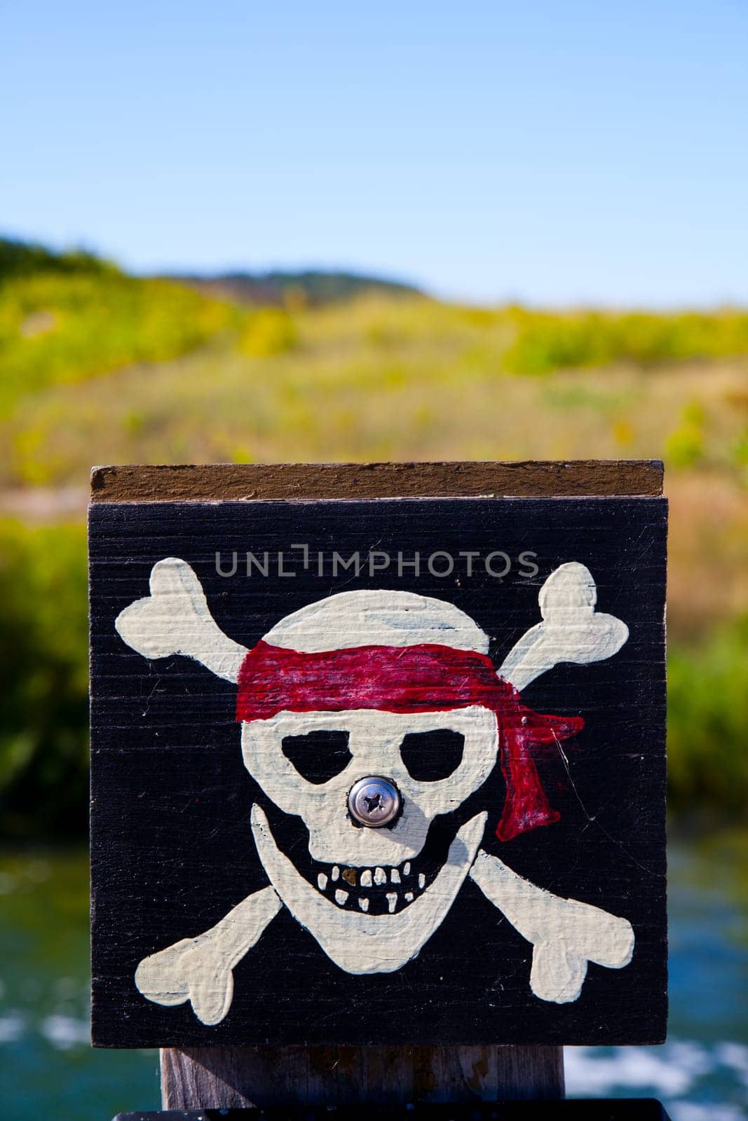 Hand-Painted Jolly Roger Pirate Flag in Rustic Style Against Green Foliage Sky by njproductions