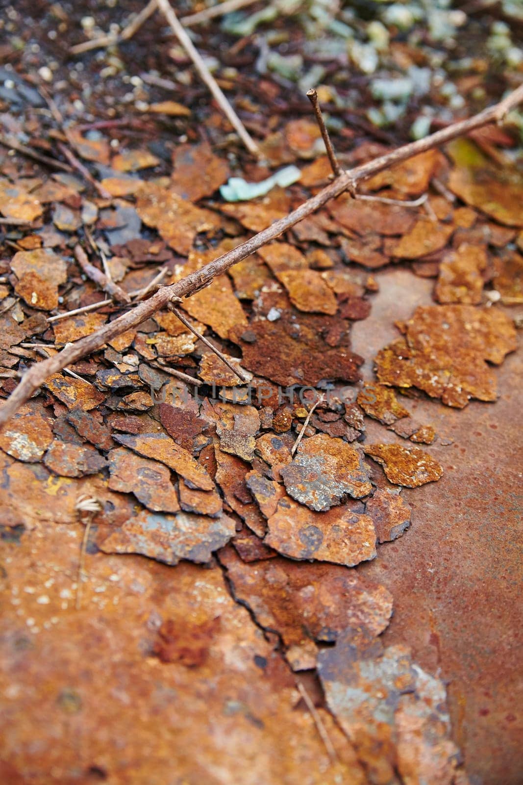 Rusted Decay and Nature Intersect in Urban Indiana Close-Up by njproductions