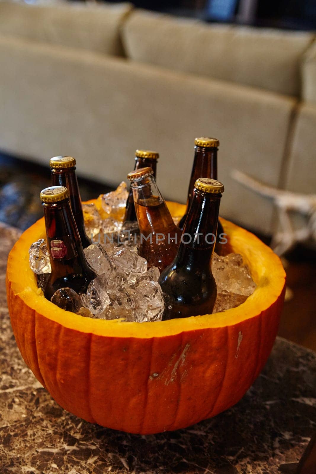 Creative autumnal beer presentation with a pumpkin cooler filled with a selection of dark glass beer bottles on a marbled counter surface. Perfect for festive gatherings and seasonal celebrations. Fort Wayne, Indiana.