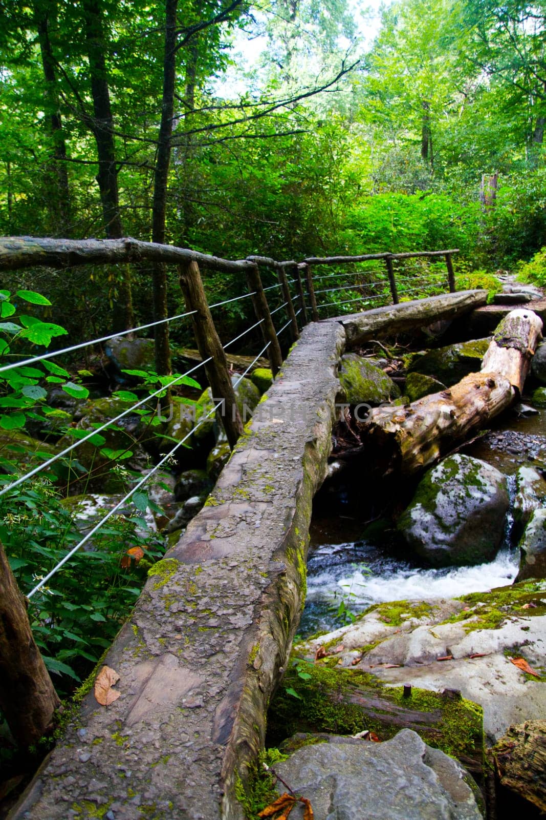 Tranquil wooden bridge crossing a babbling brook in a lush Tennessee forest. Experience the serenity of nature and eco-friendly architecture.