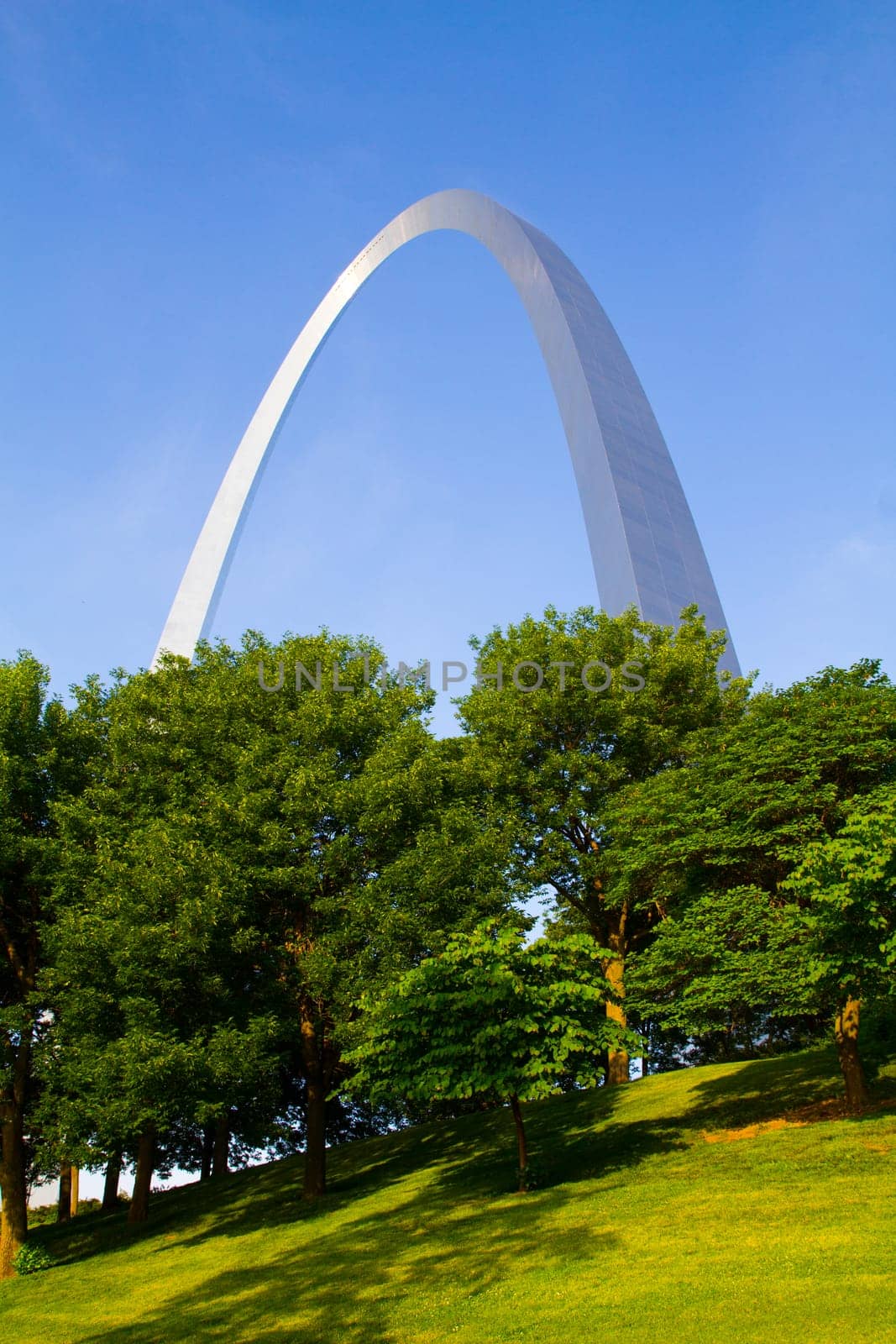 Iconic St. Louis Arch stands tall in lush park, a symbol of human achievement blending harmoniously with natures beauty. Perfect for travel, landmarks, and architectural themes.