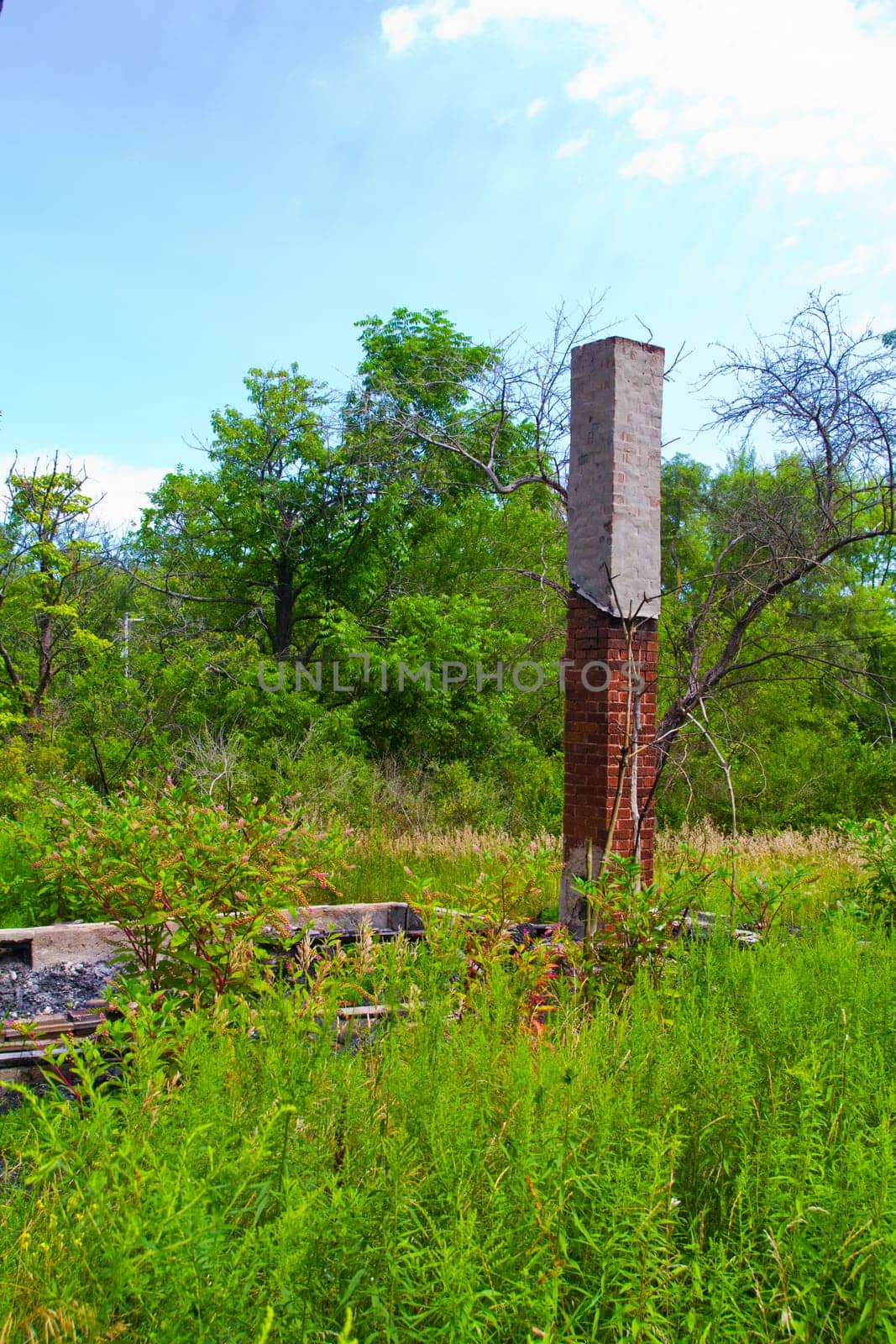 Nature's Reclamation: Forgotten industrial site in Lansing, Michigan, showcases an old brick chimney standing amidst an overgrown field. The resilient vegetation encroaches on remnants of human construction, symbolizing the power of nature.