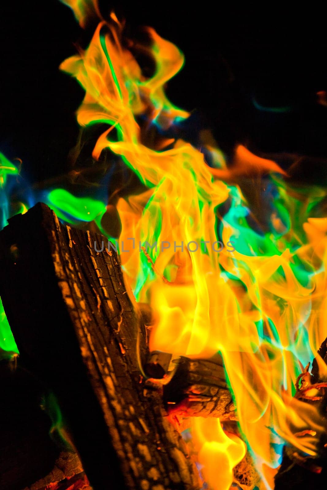 Mystical Dance of Campfire Flames in Vivid Orange and Green by njproductions